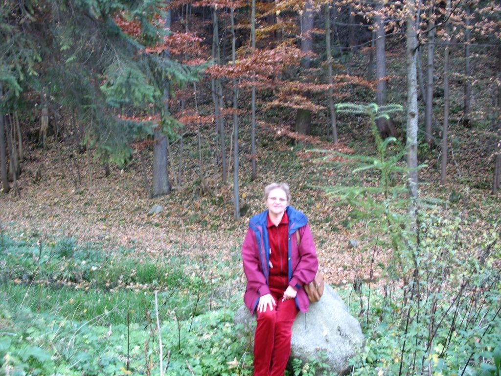 Zdjęcie