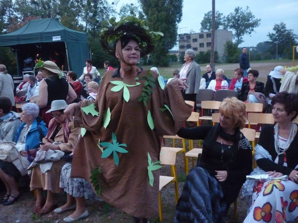 Zdjęcie