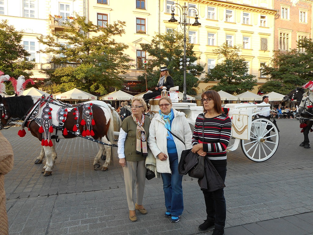 Zdjęcie