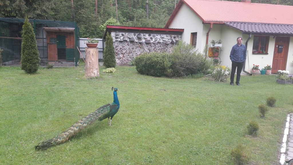 Zdjęcie