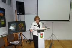 SAMSUNG CAMERA PICTURES