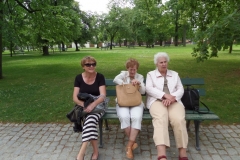 SAMSUNG CAMERA PICTURES